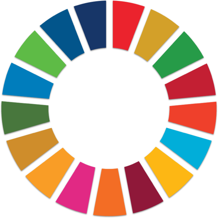 Agenda 2030 Icon