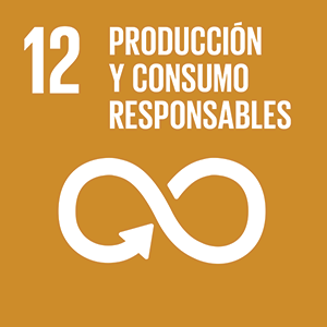 12 - Producción y Consumo Responsables