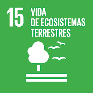 15 - Vida de Ecosistemas Terrestres