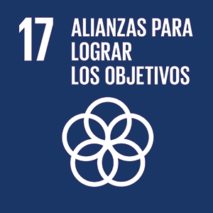 17 - Alianzas para lograr los objetivos